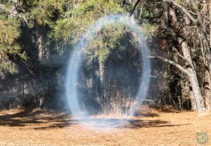 2025 Smoke Ring from Cannon