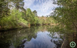 pond at Cedar Bridge Tavern