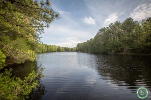 Pond in Ocean County