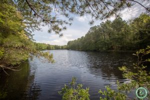pond at Cedar Bridge Tavern