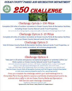 Flyer for 250 challenge