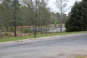 celebrating Arbor Day at Cloverdale Farm County Park in Barnegat Township