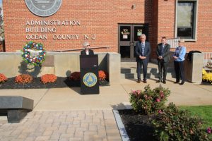 veterans day celebration