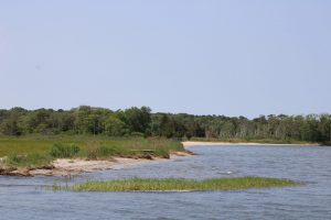 Cattus Island shoreline restoration