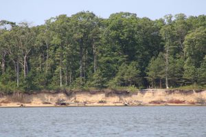 Cattus Island shoreline restoration