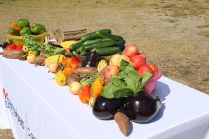 grand opening of the Sadie Vickers CommUnity Garden was celebrated with a ribbon cutting ceremony