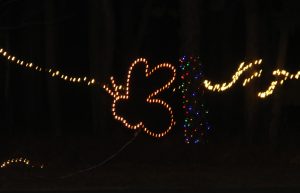 Lighting Up Nature event at Jakes Branch County Park