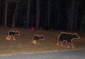 Lighting Up Nature event at Jakes Branch County Park