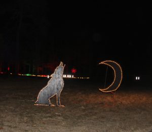 Lighting Up Nature event at Jakes Branch County Park
