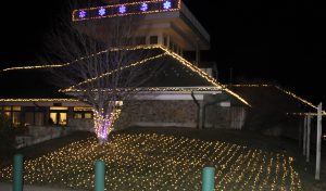 Lighting Up Nature event at Jakes Branch County Park