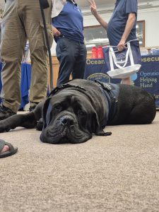 Ocean County Departments visit Harvey Cedars