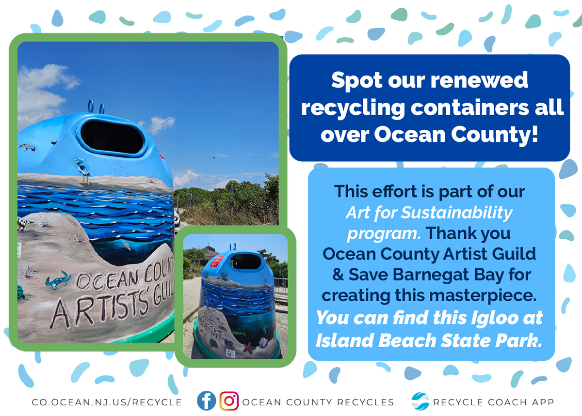 Spot our renewed recycling containers - blue coast