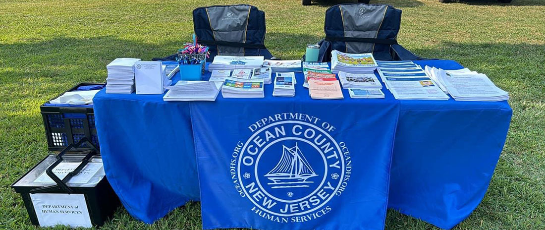 Table with Human Services information